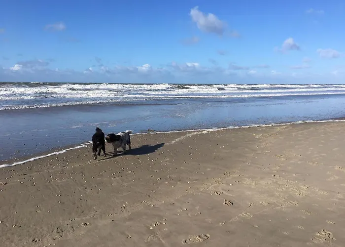 Mit Garten- Grill Und Terrasse By Interhome